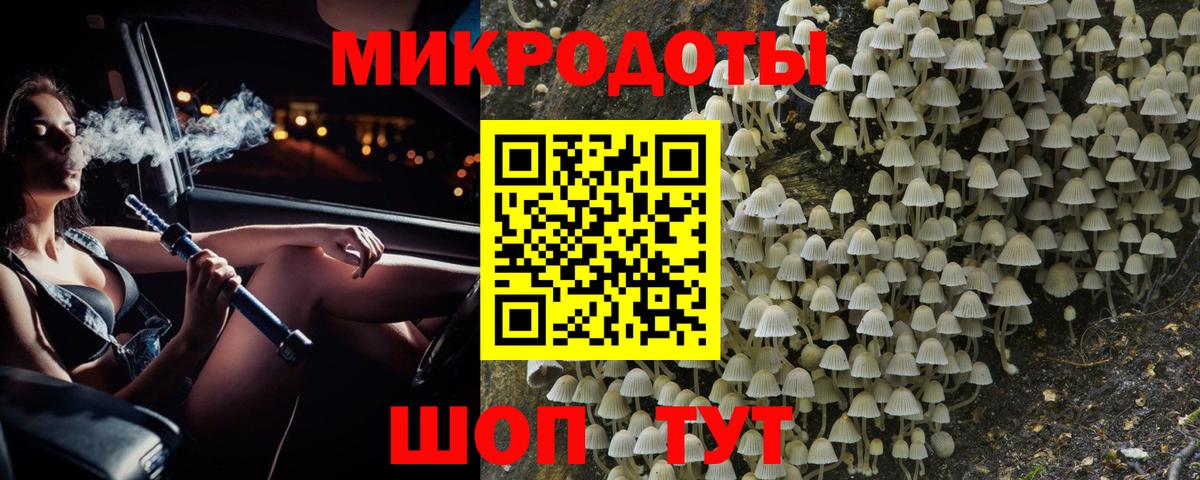 Губкинский  Псилоцибиновые грибы прущие грибы  Вход с VPN 